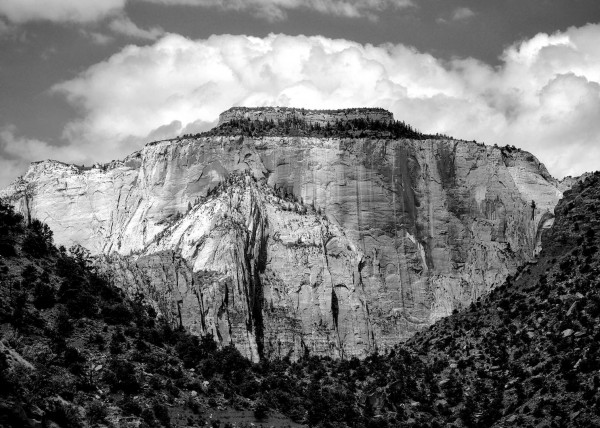 Zion National Park, UT, USA