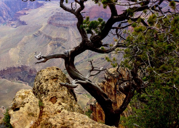 Grand Canyon, Arizona USA