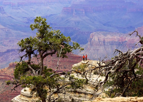 Grand Canyon, Arizona USA