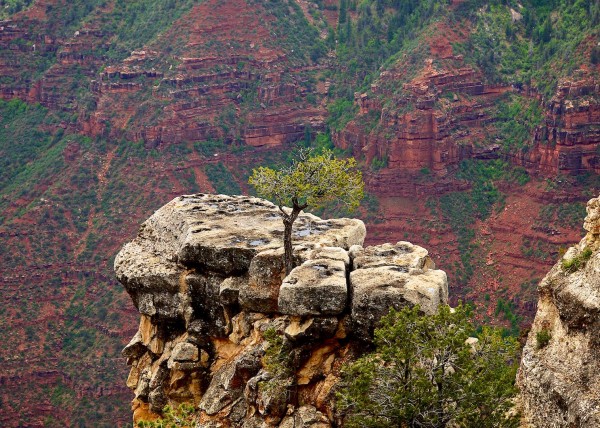 Grand Canyon, Arizona USA