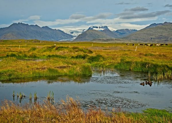 Reykjavik Sonnenfahrt Skulptur