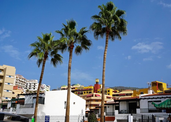 Los Gigantes, Teneriffa