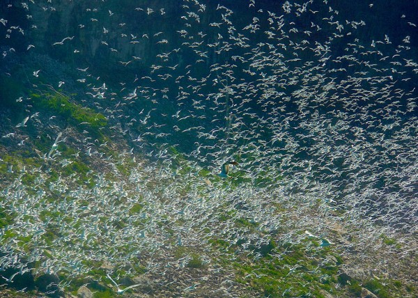Niagara Falls, NY, USA