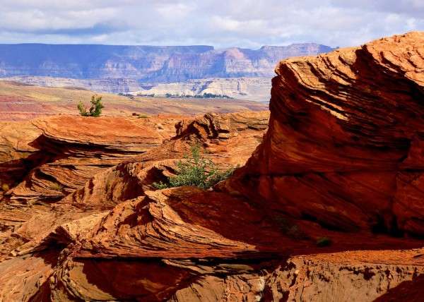 The Horseshoe 2 Page, AZ, USA