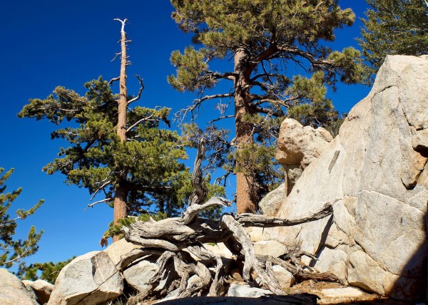 Santa Monica, California USA