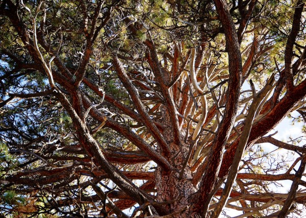 Santa Monica, California USA