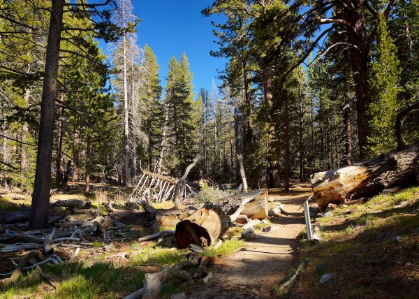 Santa Monica, California USA