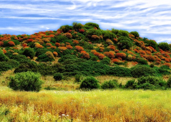 Abendstimmung Cagliari