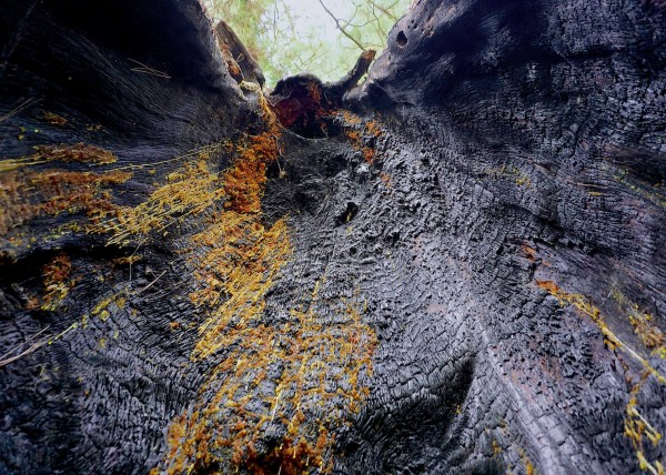 Los Gigantes, Teneriffa