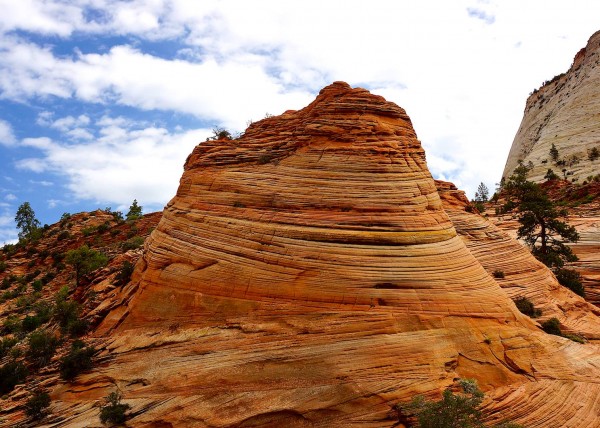 Zion National Park, UT, USA