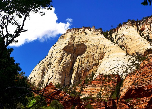 Zion National Park, UT, USA