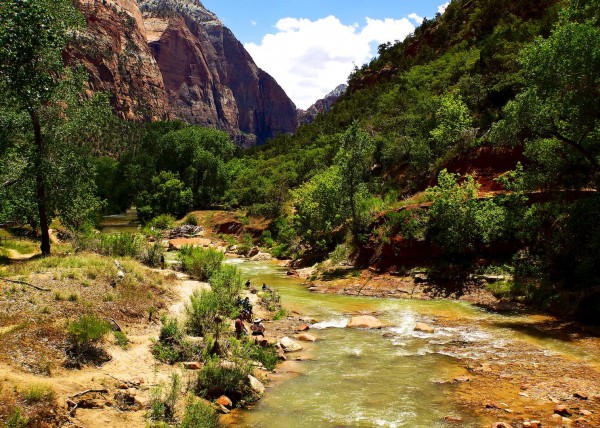 Zion National Park, UT, USA