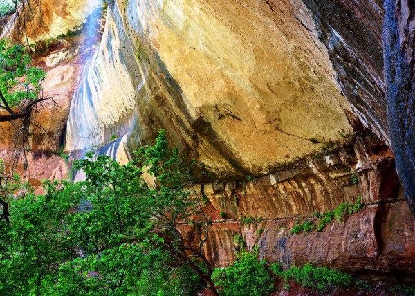 Zion National Park, UT, USA