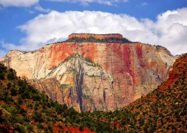 Zion National Park, UT, USA
