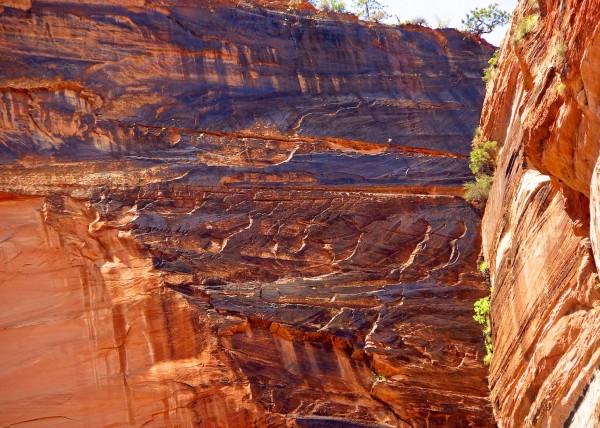 Zion National Park, UT, USA