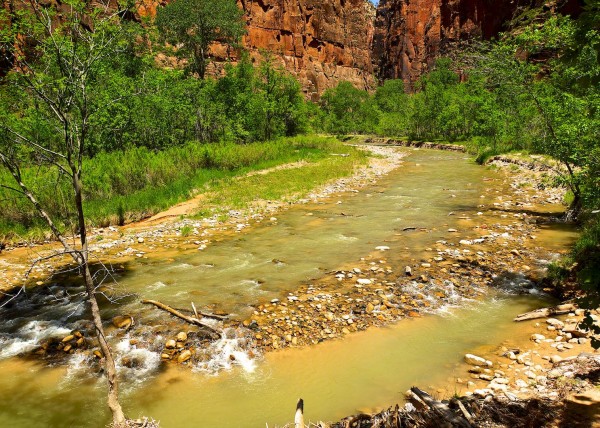 Zion National Park, UT, USA