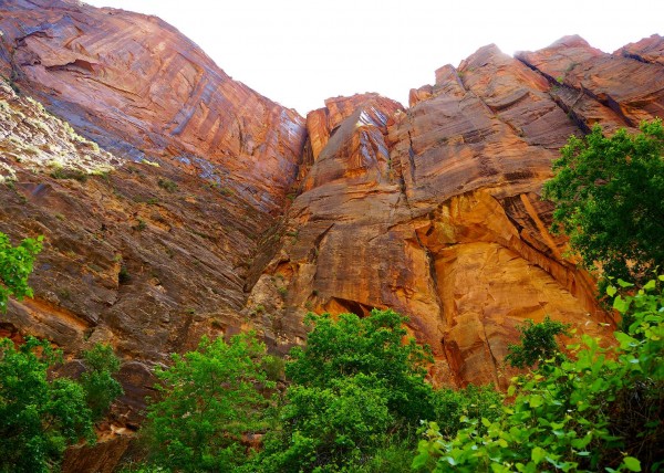 Zion National Park, UT, USA