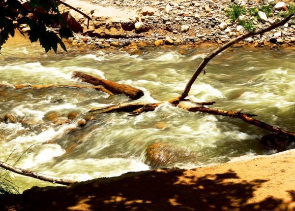 Zion National Park, UT, USA