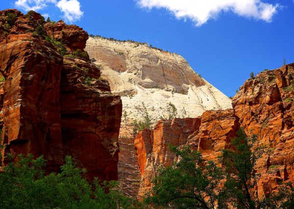 Zion National Park, UT, USA
