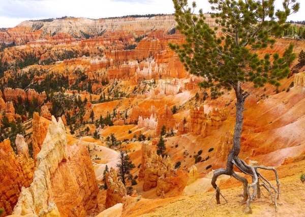 Upper Bryce Canyon, UT, USA