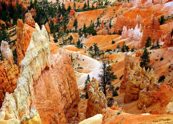 Upper Bryce Canyon, UT, USA