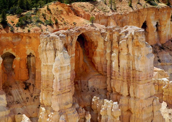 Upper Bryce Canyon, UT, USA