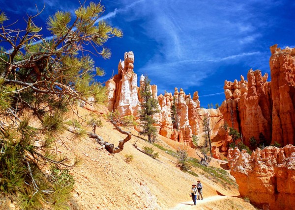 Upper Bryce Canyon, UT, USA