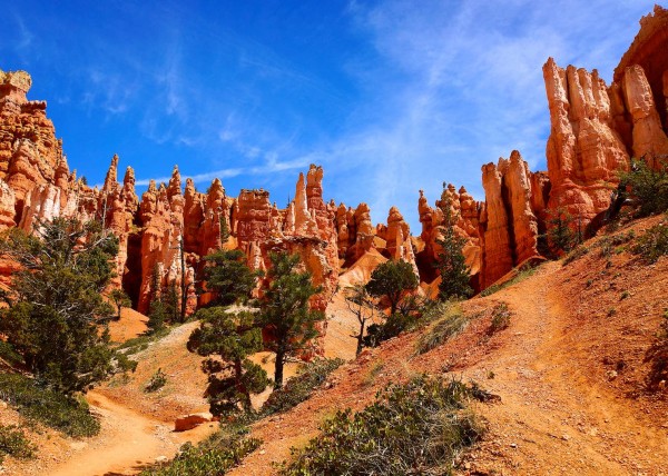 Upper Bryce Canyon, UT, USA