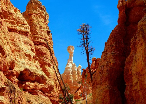 Upper Bryce Canyon, UT, USA