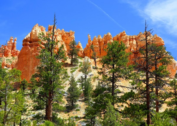 Upper Bryce Canyon, UT, USA