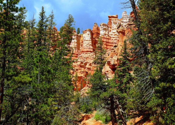 Upper Bryce Canyon, UT, USA