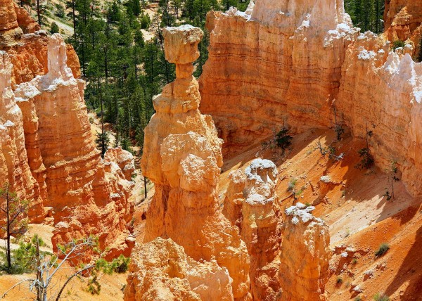 Upper Bryce Canyon, UT, USA