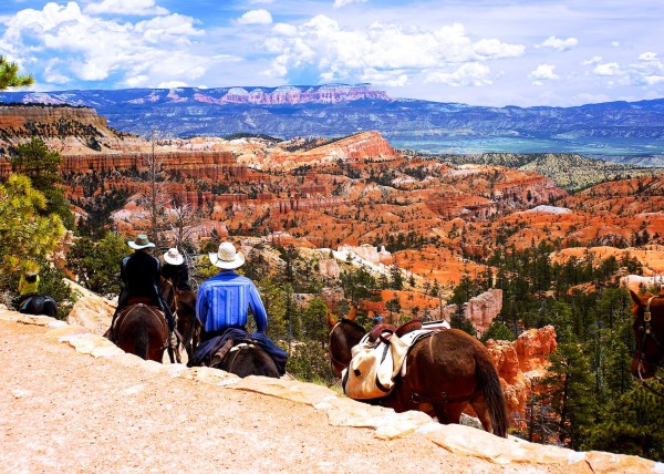 Upper Bryce Canyon, UT, USA
